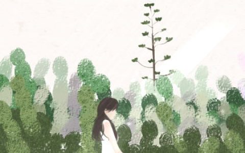 盘点客厅盆栽风水的禁忌
