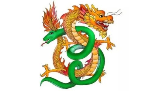 属龙和属蛇的相配吗