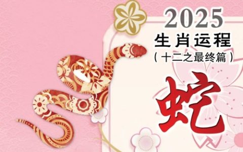 2025属蛇的运势怎么样