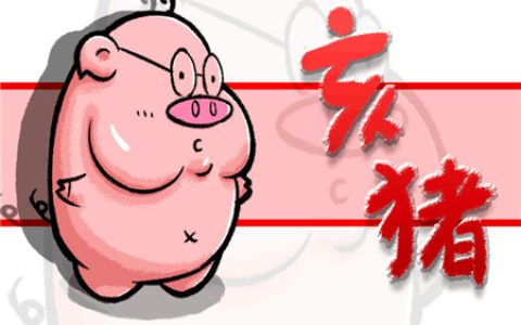属猪床头朝哪个方向好