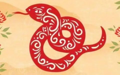 属蛇的是什么命金木水火土