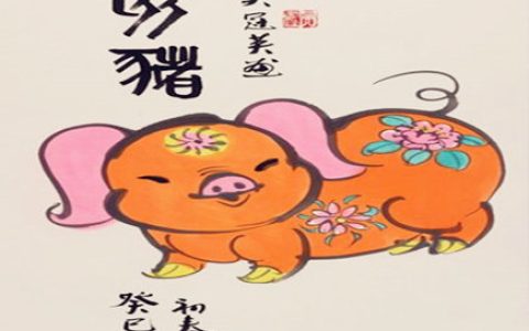 属猪的男人事业运好不好