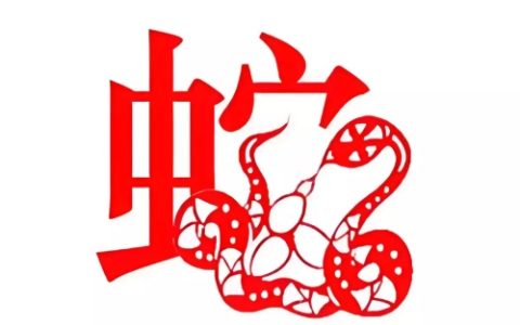 属蛇的男人性格和脾气及爱情分析