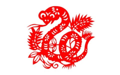 属蛇和属虎的合不合