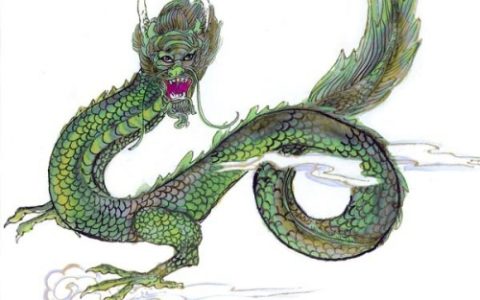 属龙的五行属性是什么