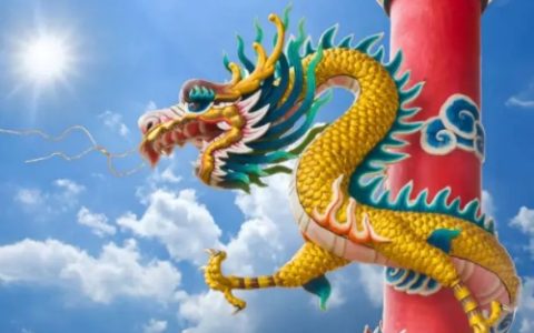 2000年属龙是什么命