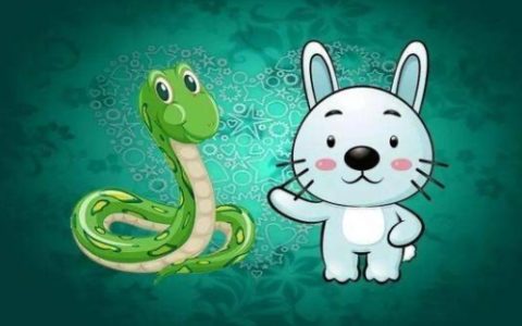 属兔和属蛇的合不合