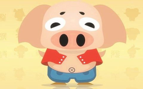 属猪人农历几月出生好