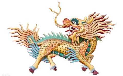属龙的是什么命金木水火土