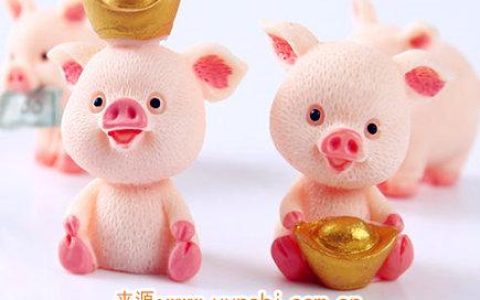 属猪男对老婆好吗 - 属猪男在乎一个人的表现