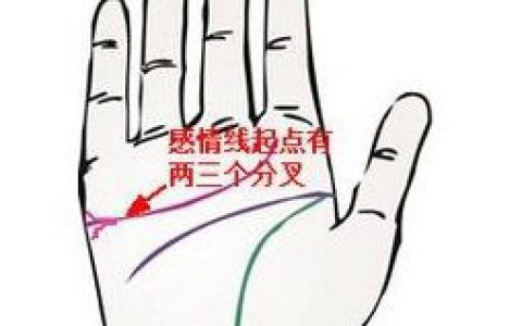 感情线起点分叉的手相如何分析？感情运势好吗？