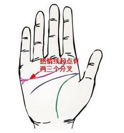 感情线起点分叉的手相如何分析？感情运势好吗？