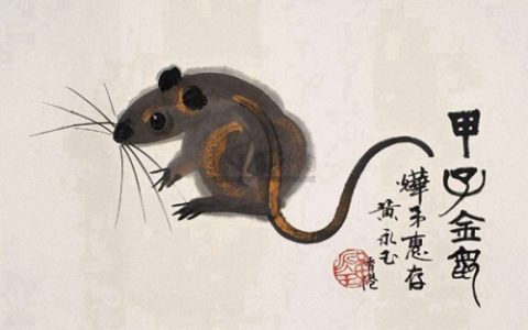 属鼠的和什么属相相克