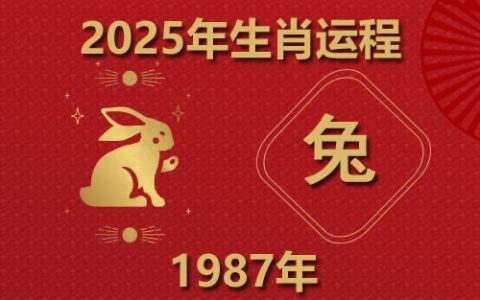 1987年属兔2025年的运势及运程
