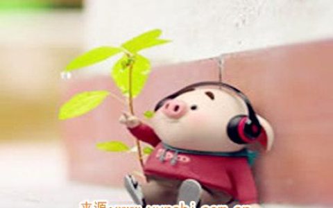 属猪女生的恋爱特点