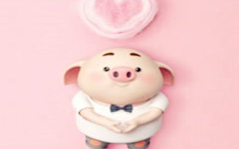 属猪人出生日的命运