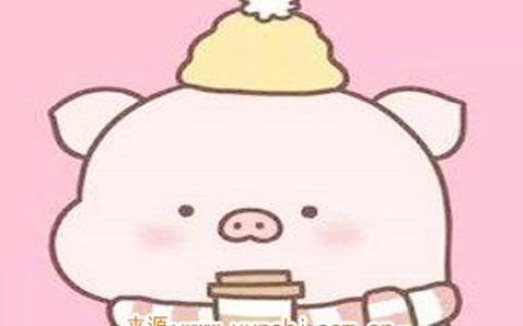 属猪最吸引人的地方