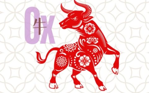 97年属牛住东户还是西户好