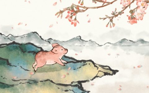 猪的生肖跟什么生肖最配 属猪配属虎非常完美