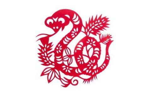 属蛇的人一生命运如何
