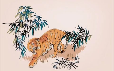 虎年分别是哪一年