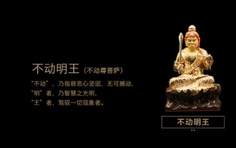 属鸡的守护神是什么菩萨
