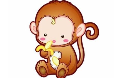 属猴的和什么属相最配