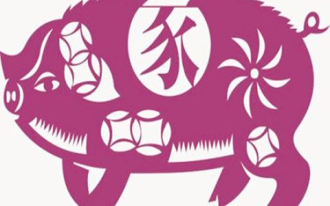 属猪人家里养什么植物好