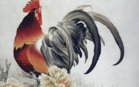 属鸡2024年的运势及运程，属鸡人2024年每月运势完整版！