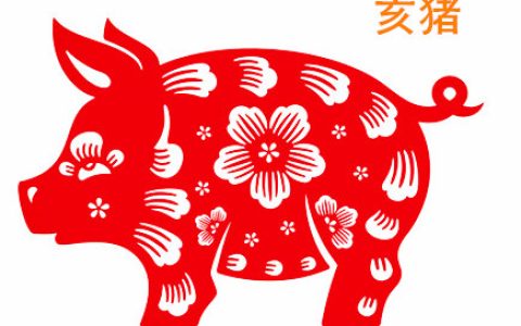 属猪人的办公室布局 - 属猪人办公室风水解