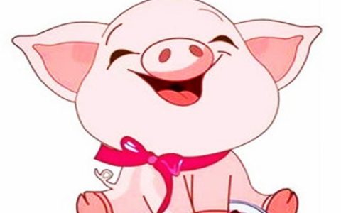 属猪的本命佛是什么