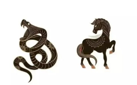属蛇和属马合不合