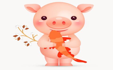 属猪人几点出生好 - 属猪人出生时辰的命运