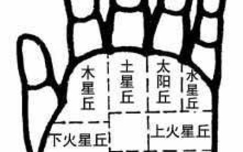 掌丘手相-主丘的确定,八大掌丘手相