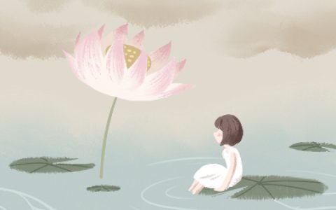 禁止摆放在室内的植物