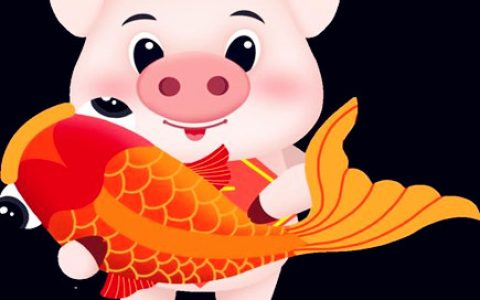 属猪人的经济意识如何 - 属猪人的财运如何