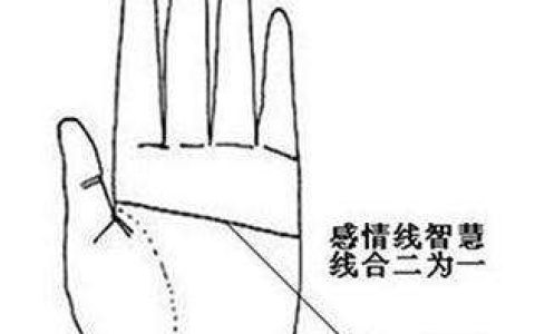 断掌纹的女人手相分析，有断掌纹的人会克夫吗？