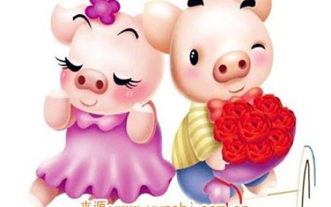 属猪人一生有几次婚姻 - 属猪人对婚姻的态度