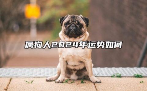 属狗人2024年全年运势运程，属狗人2024年每月运势及运程详解！