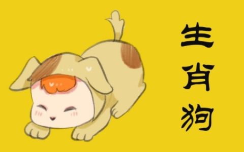 属狗2024年运势及运程详解，属狗人2024年每月运势完整版！