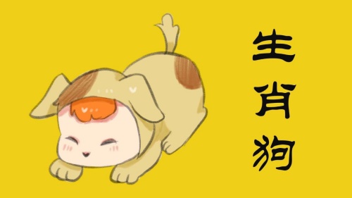 属狗2024年运势及运程详解，属狗人2024年每月运势完整版！