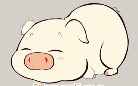 属猪女不想谈恋爱的原因