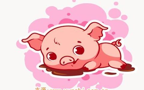 属猪人哪年开始转运 – 属猪人倒霉年份