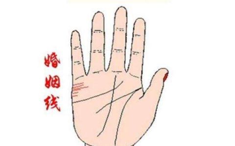 会离婚的手相是怎样的？详细解析容易离婚的手相。