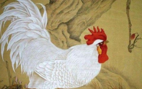 属鸡的几点出生好时辰