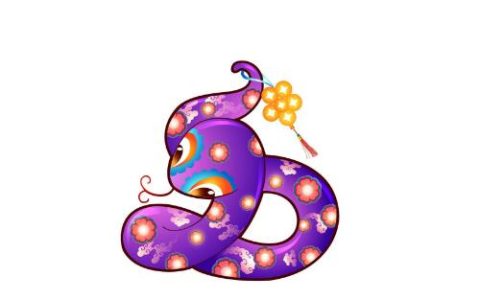 13年属蛇是什么命 五行属什么