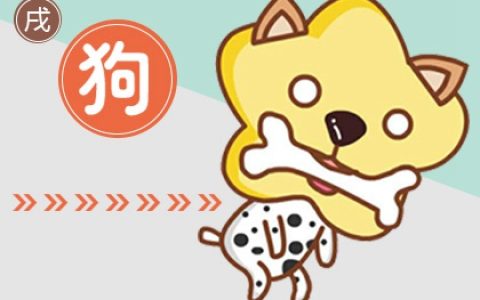 生肖狗与生肖猪配不配婚姻 生肖配对分析
