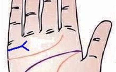 手上婚姻线分叉代表什么？会导致离婚吗？
