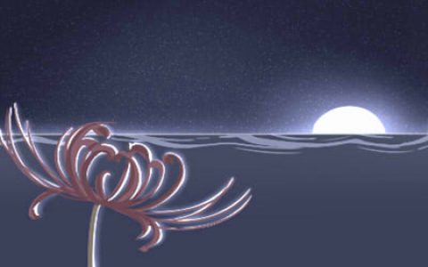 盘点：那些你所不知的聚财风水植物