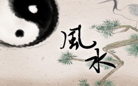 办公室最佳风水布局 放什么花最招财